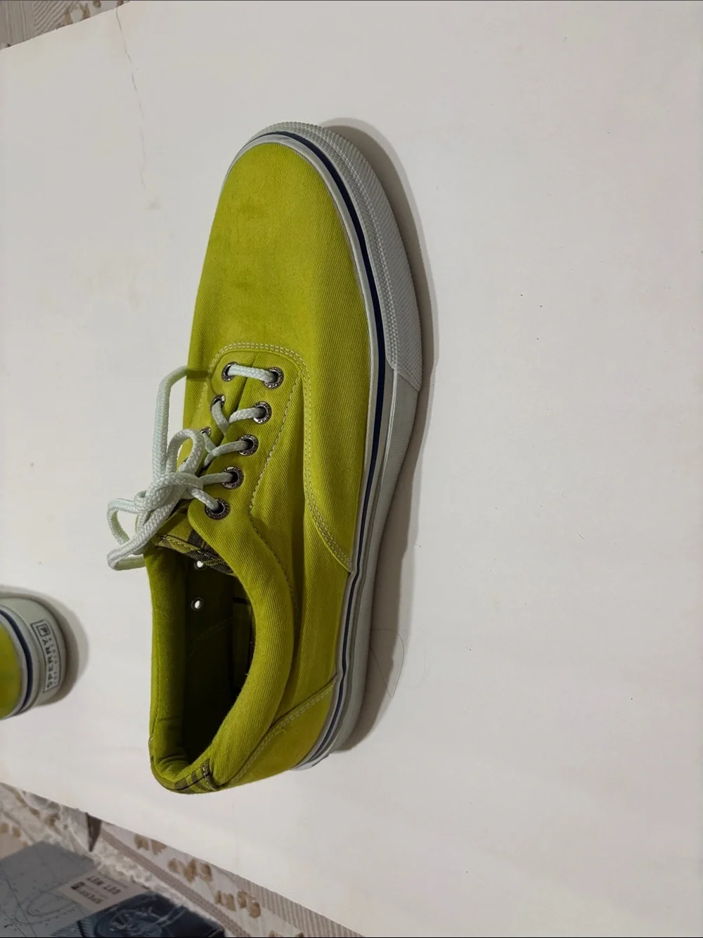 Sperry casual canvas